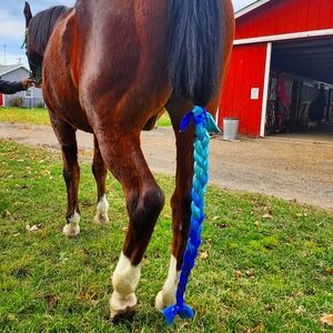 Cool Ombre Braided Tail Bag